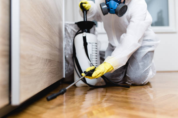 Trusted Miamitown, OH Pest Control Experts
