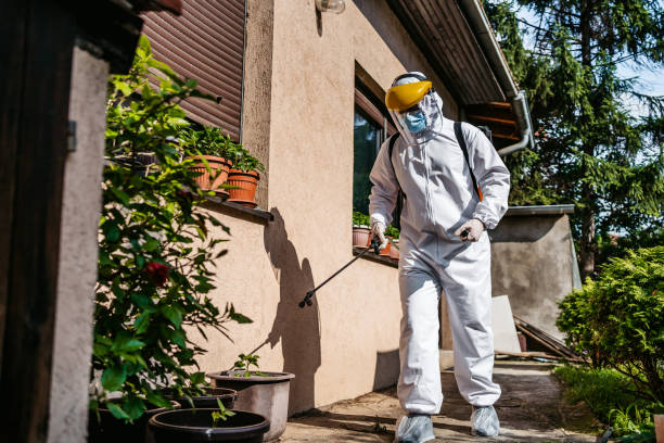 Best Pest Removal Services  in Miamitown, OH