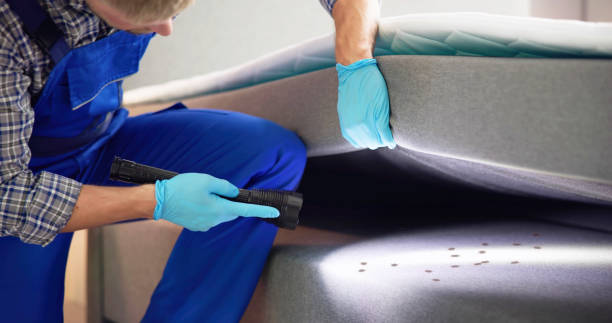 Best Pest Prevention Services  in Miamitown, OH
