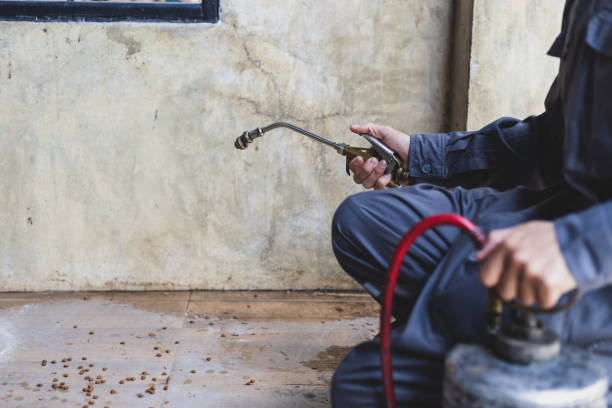 Best Pest Prevention Services  in Miamitown, OH